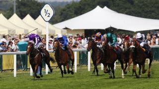 Ryan Moore (purple silks) riding High Reel